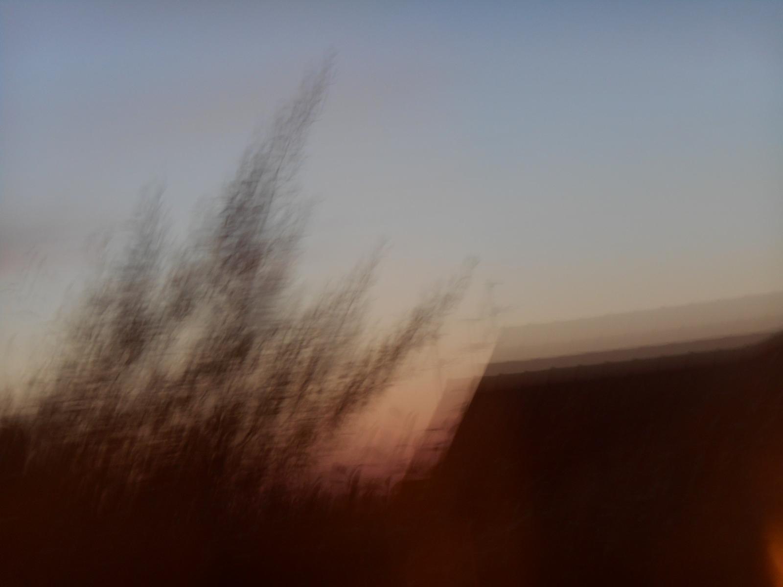 Un autre flou artistique ( Les Moutiers en Retz )