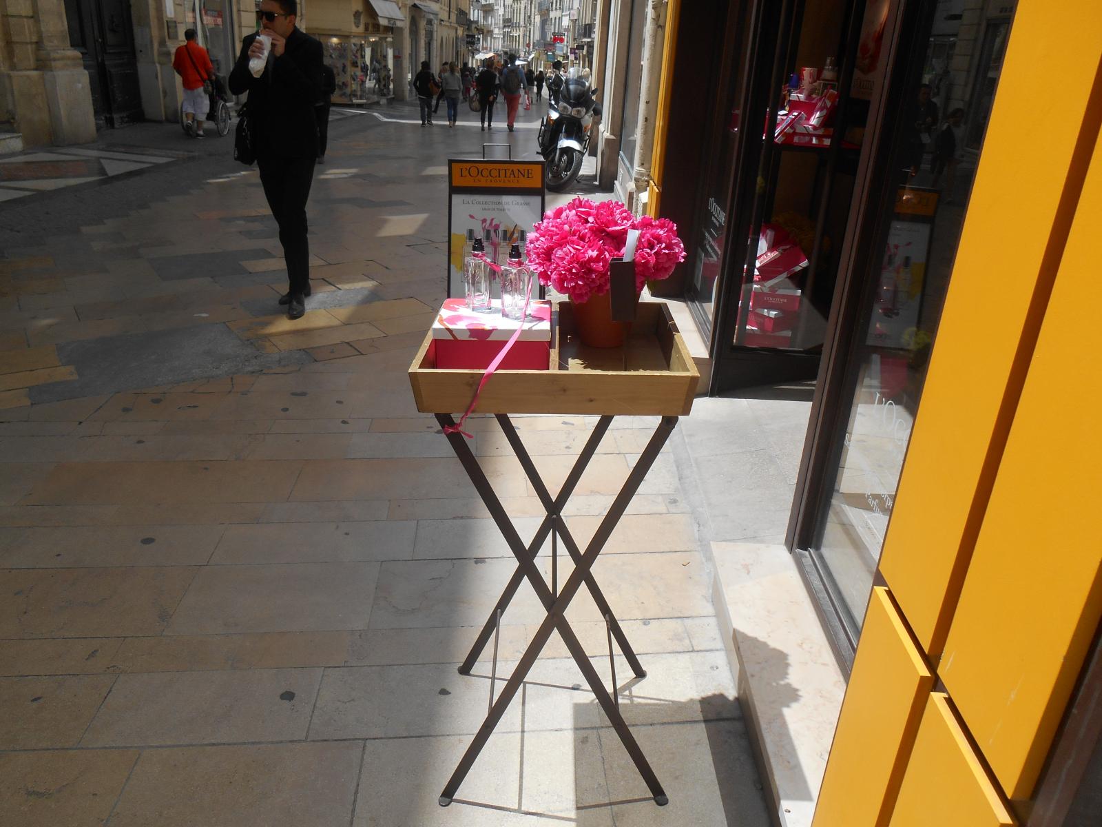 Jolies fleurs ( Montpellier )