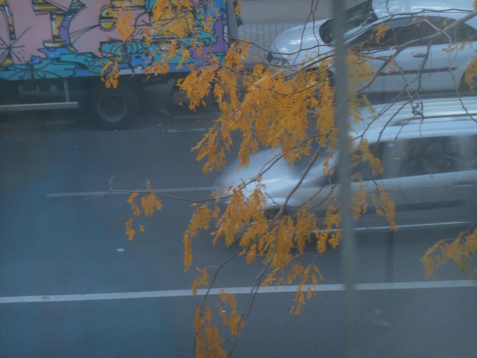 Les feuilles et des voitures et même un camion (Paris)